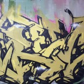 https://www.propaganza.be/wp-content/uploads/2015/09/Trevor-lettrage-typo-font-calligraphie-propaganza-urban-artist-graffiti-graff-street-art-spray-painting-belgique-3.jpg